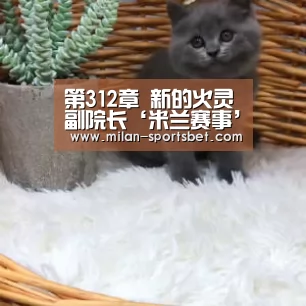 第312章 新的火灵副院长‘米兰赛事’(图3) 米兰体育