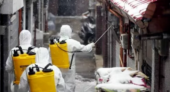 麦克克鲁姆63分难挡青岛7人上双 浙江吞两连败-米兰直播(图1) 米兰体育