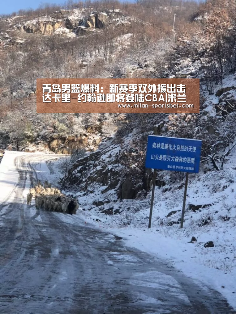 青岛男篮爆料:新赛季双外援出击 达卡里-约翰逊即将登陆CBA|米兰体育(图2) 米兰赛事