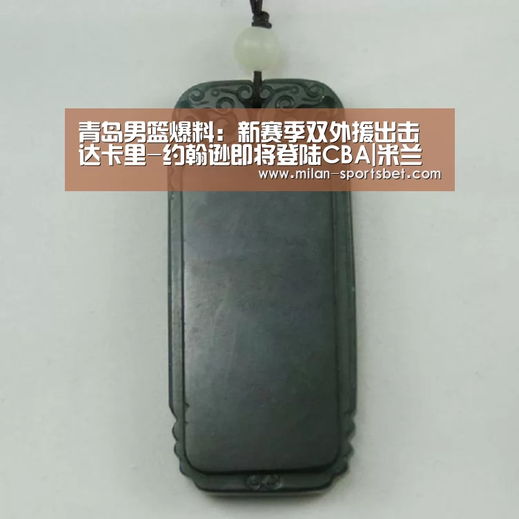 青岛男篮爆料:新赛季双外援出击 达卡里-约翰逊即将登陆CBA|米兰体育(图3) 米兰下载